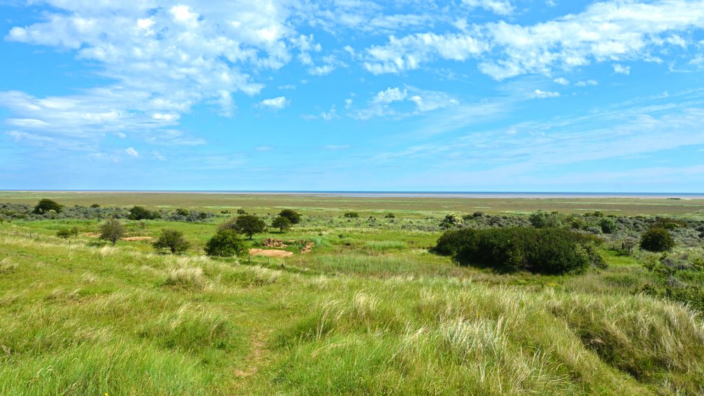 Anderby Dunes 