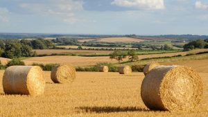 Farming in Lincolnshire